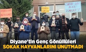 diyane_tin_genc_gonulluleri_sokak_hayvanlarini_unutmuyor_h14219_5b8af.jpg
