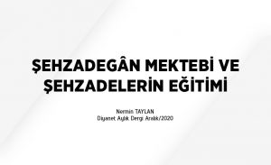 sehzadegn_mektebi_ve_sehzadelerin_egitimi_h13357_835d6.jpg