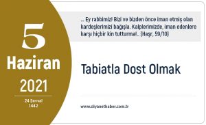 tabiatla_dost_olmak_h16368_6ca74.jpg