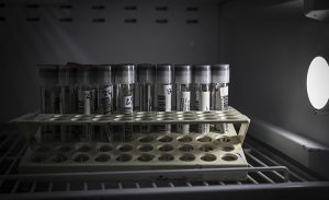 12_eylul_2021_turkiye_nin_koronavirus_tablosu_h18452_d938b.jpg
