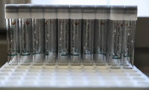 13_ekim_2021_turkiye_nin_koronavirus_tablosu_h19113_3c32a.jpg