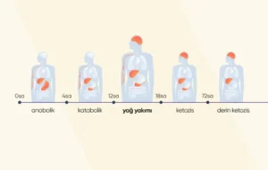 Diyette-Kilo-Verme-Kac1nc1-Gunde-Ba_lar