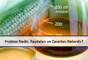 Fruktoz-Nedir-Faydalar1-ve-Zararlar1-Nelerdir