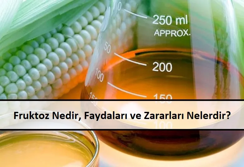 Fruktoz-Nedir-Faydalar1-ve-Zararlar1-Nelerdir