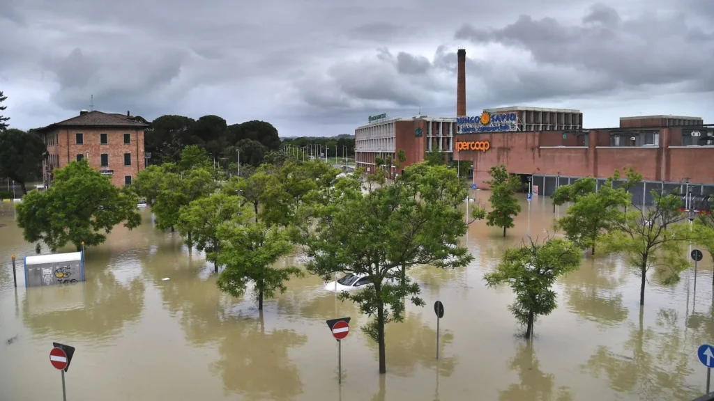 Islak-Aractan-Koku-Nas1l-C1kart1l1r