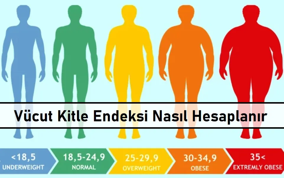 Vucut-Kitle-Endeksi-Nas1l-Hesaplan1r
