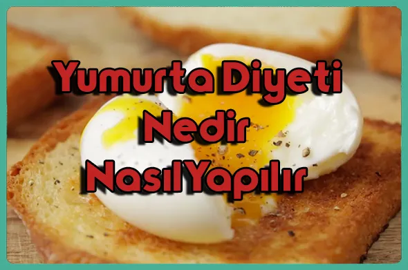 Yumurta-Diyeti-Nedir-ve-Nas1l-Yap1l1r