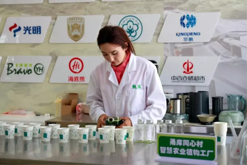 Xinjiang'a Yatırımlar Artıyor