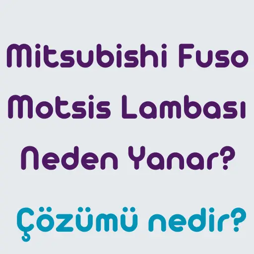 Mitsubishi-Fuso-Motsis-Lambas1-Neden-Yanar