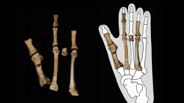 atlas-featured-60062-1766000494-AWqpWR