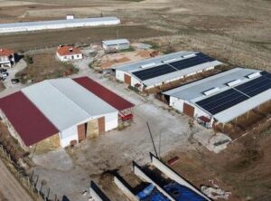 atlas-featured-60295-1766305590-sURrYW