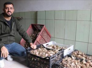 atlas-featured-60473-1767465514-Bx4lad