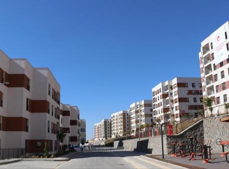 atlas-featured-60494-1767465532-NQOLXr