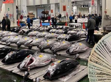 atlas-featured-60764-1767613958-M6I34e