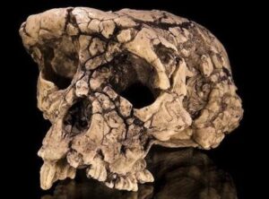 atlas-featured-60812-1767614062-bNb8NN