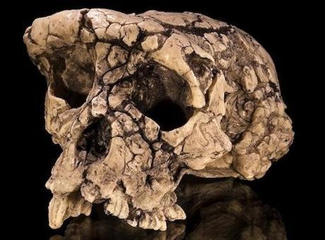 atlas-featured-60812-1767614062-bNb8NN