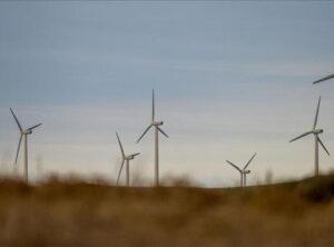 atlas-featured-61084-1768211074-argFKx