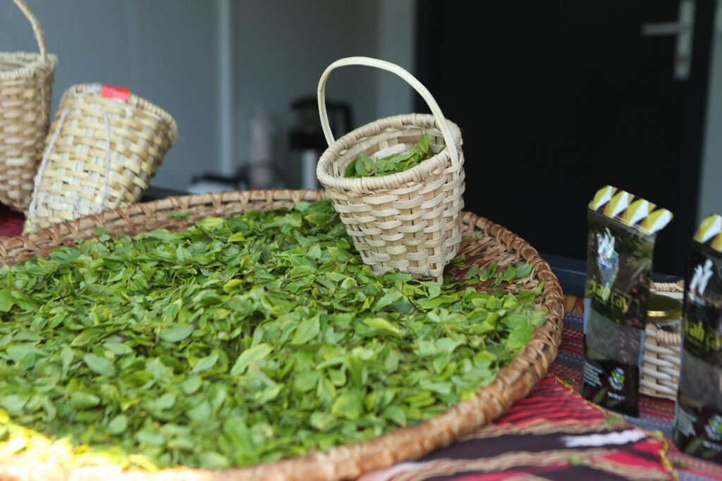 Başkent’te dört gün boyunca Rize rüzgârı esti