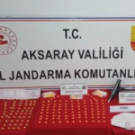 Aksaray’da uyuşturucu operasyonu: 2 kişi tutuklandı, çok sayıda hap ele geçirildi