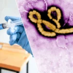 DSÖ’den Ebola uyarısı: "Aşı için 9 ay gerekebilir"