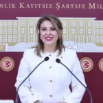 CHP Milletvekili Elvan Işık Gezmiş; fındık ile maden arasında kalmayacağız
