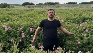 Gülün başkentinde hasat coşkusu: Isparta’da gül sezonu başladı