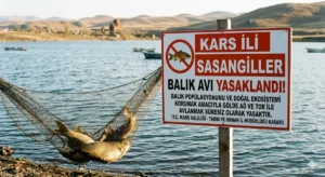 Kars’ta sazangiller için av yasağı başladı