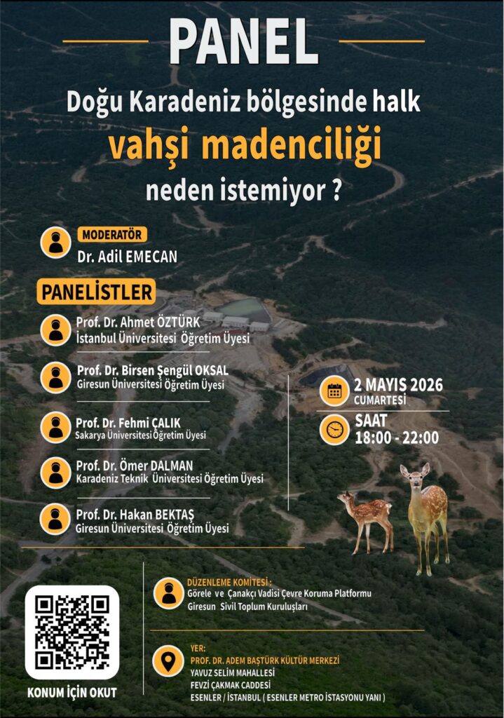 Doğu Karadeniz’in Geleceği İstanbul’da Masaya Yatırılıyor