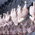 Tavuk eti ve yumurta üretiminde mart ayında yükseliş