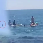 Antalya’da korku dolu anlar: Falezlerden atladı