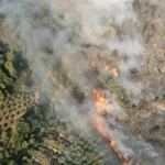 Antalya’da Orman yangını alarmı