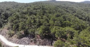 Balıkesir ve Kütahya’da ormanlara girişler yasaklandı