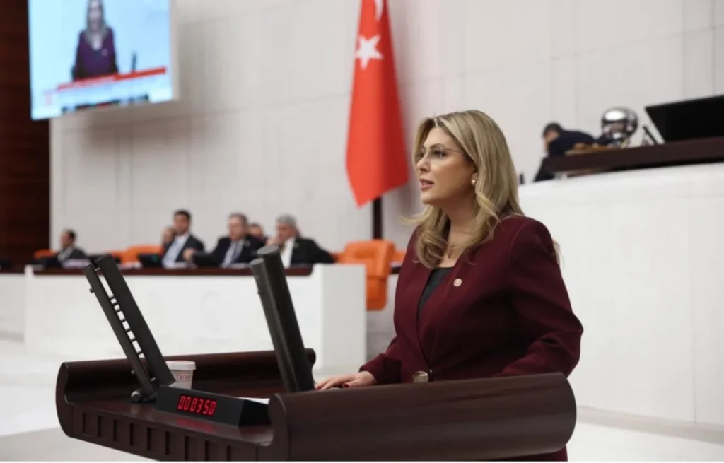 CHP Giresun Milletvekili Gezmiş; Giresun doğa felaketi yaşıyor