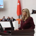 CHP Giresun Milletvekili Gezmiş; Giresun doğa felaketi yaşıyor