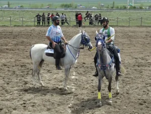 Geleneksel Atlı Sporların heyecanı Selim’de yaşandı