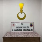 Mersin'de zehir tacirlerine operasyon: 7 bin 256 hap ele geçirildi