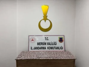 Mersin'de zehir tacirlerine operasyon: 7 bin 256 hap ele geçirildi