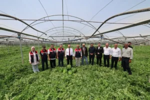 Siirt tarımında bir ilk