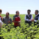 Hatay Büyükşehir Belediyesi'nden üreticiye destek