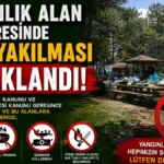 Kars'ta orman yangınlarına karşı sıkı tedbirler