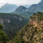 Antalya, Türkiye'nin orman başkenti: 11,7 milyon dönümlük yeşil güce sıkı koruma