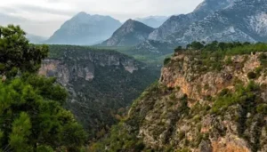 Antalya, Türkiye'nin orman başkenti: 11,7 milyon dönümlük yeşil güce sıkı koruma