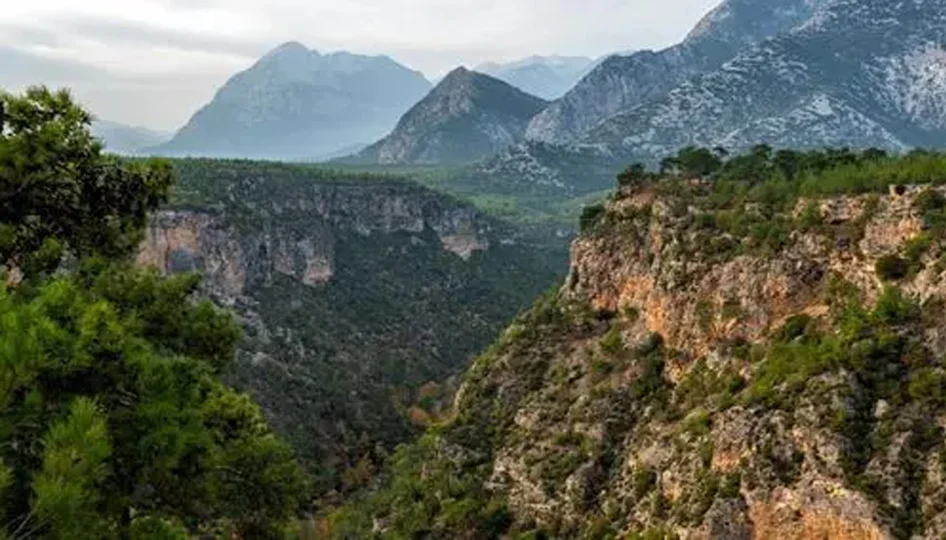 Antalya, Türkiye'nin orman başkenti: 11,7 milyon dönümlük yeşil güce sıkı koruma
