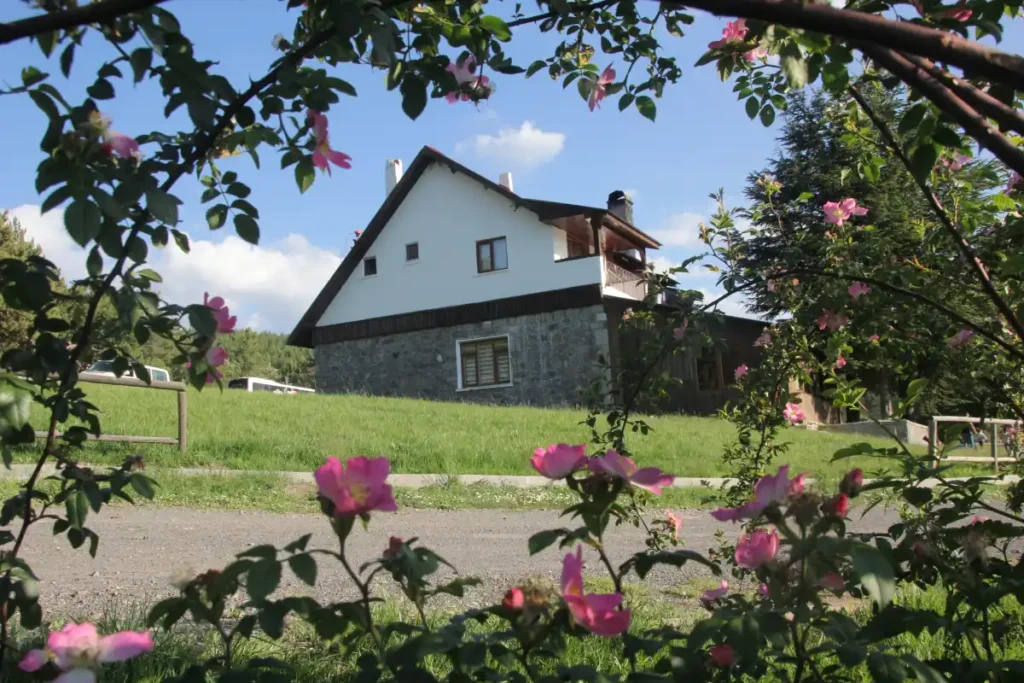 Karagöl Mesire Alanı'nda piknik ve kamp kurallarına yeni düzenleme