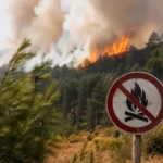 Orman yangınlarında 34 şüpheli tespit edildi: 9 kişi tutuklandı
